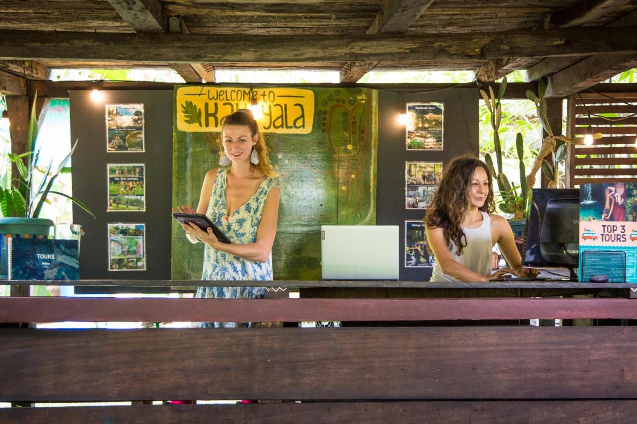 The Jungle Lodge At Kalu Yala パナマ・シティー エクステリア 写真
