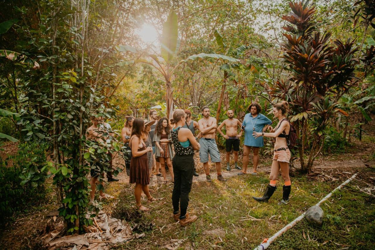 The Jungle Lodge At Kalu Yala パナマ・シティー エクステリア 写真