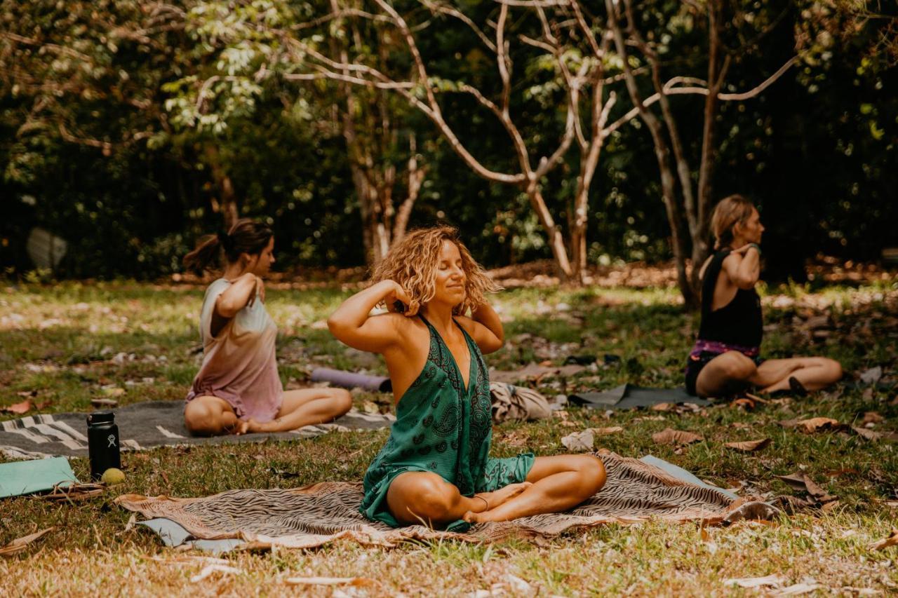 The Jungle Lodge At Kalu Yala パナマ・シティー エクステリア 写真