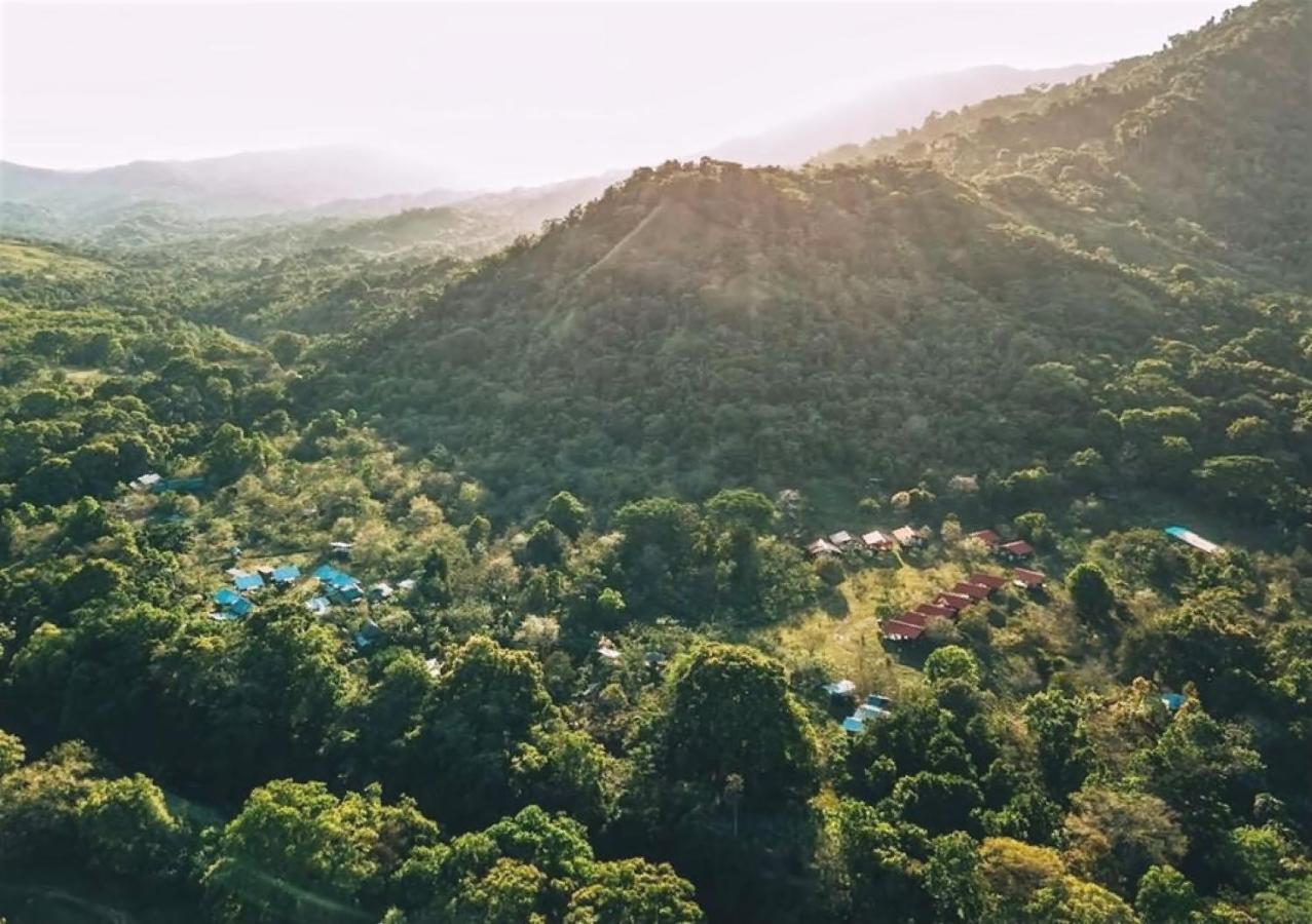 The Jungle Lodge At Kalu Yala パナマ・シティー エクステリア 写真