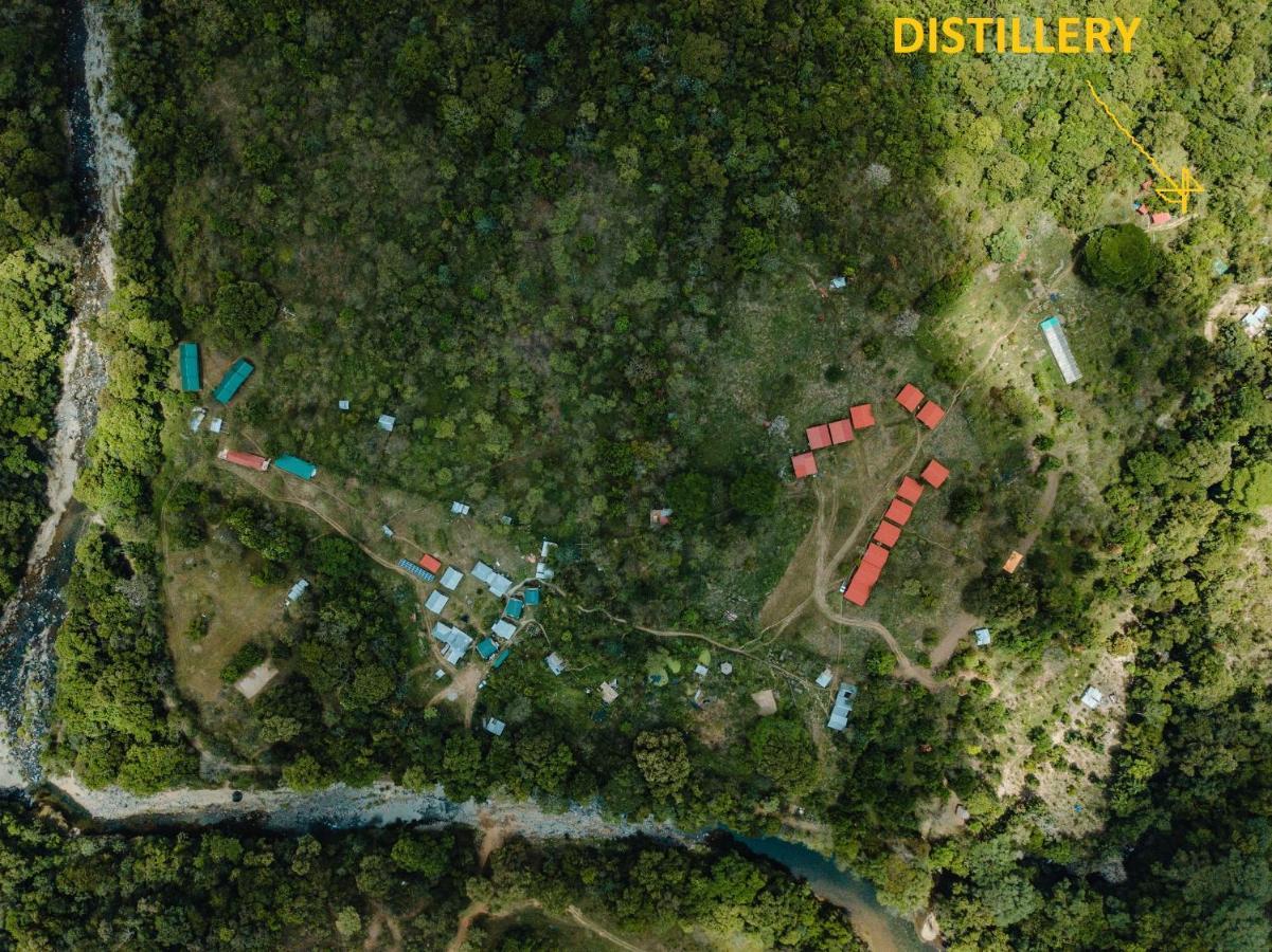 The Jungle Lodge At Kalu Yala パナマ・シティー エクステリア 写真