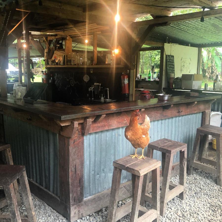 The Jungle Lodge At Kalu Yala パナマ・シティー エクステリア 写真