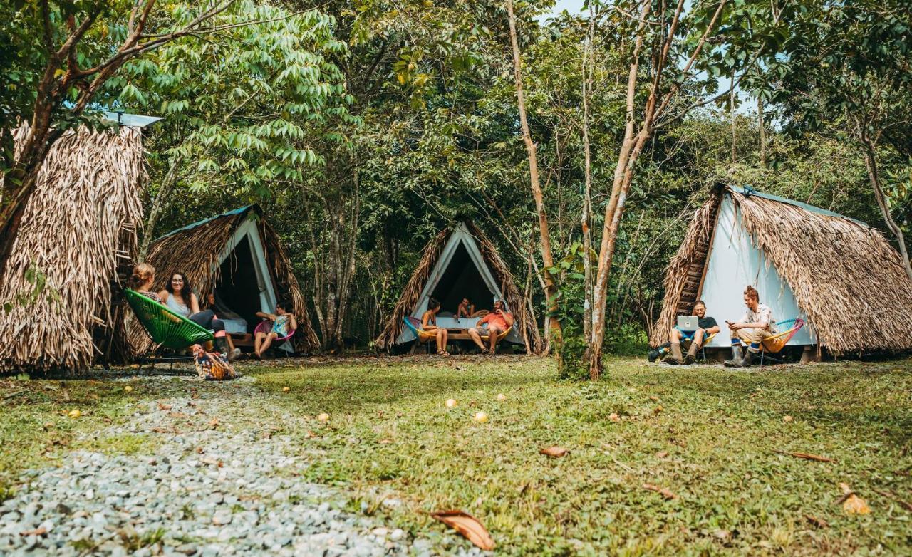 The Jungle Lodge At Kalu Yala パナマ・シティー エクステリア 写真