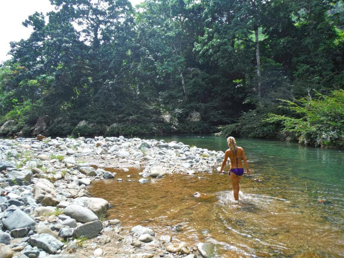 The Jungle Lodge At Kalu Yala パナマ・シティー エクステリア 写真
