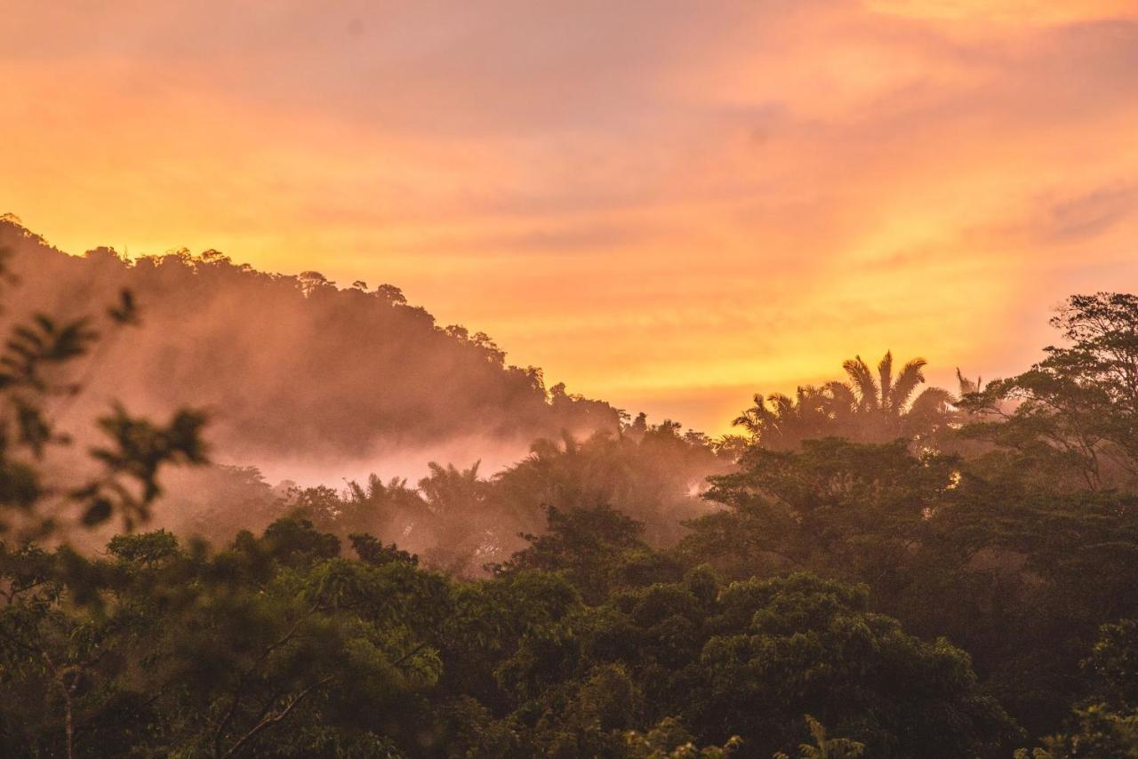 The Jungle Lodge At Kalu Yala パナマ・シティー エクステリア 写真