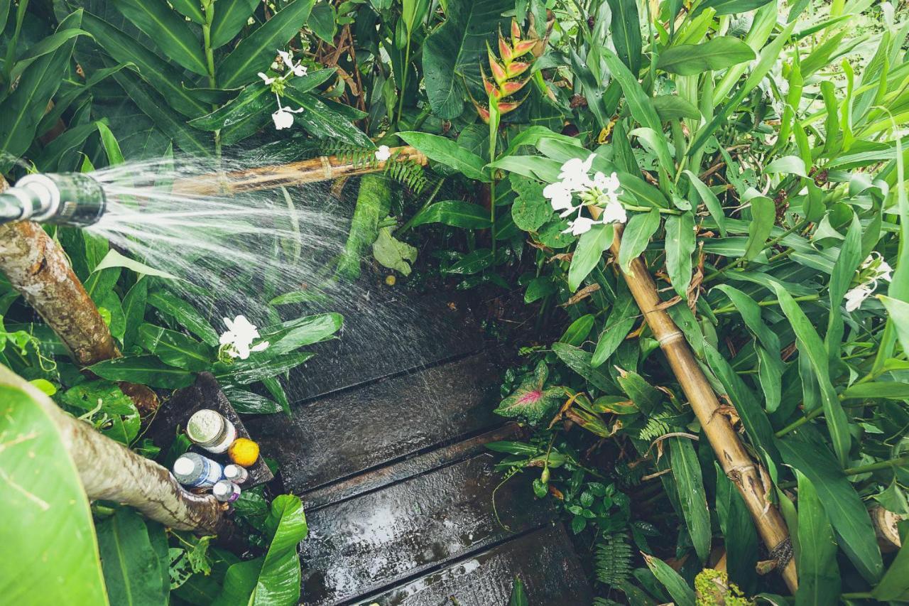 The Jungle Lodge At Kalu Yala パナマ・シティー エクステリア 写真